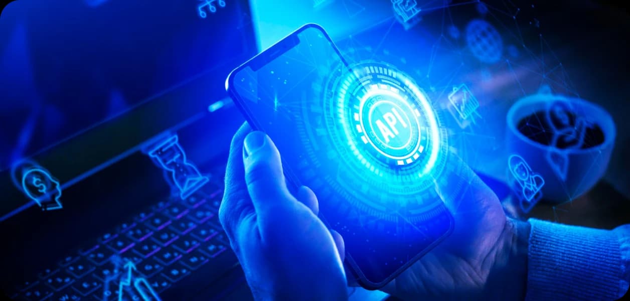 API & Third-Party Integrations