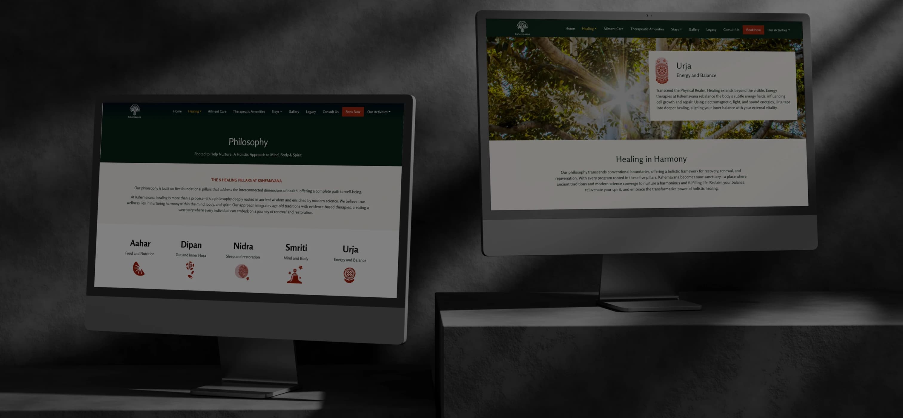 protfolio1
